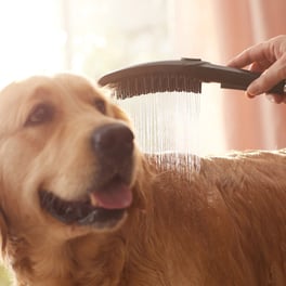 hansgrohe-dogshower-3-spray-dog-hand-shower-150mm-matt-black