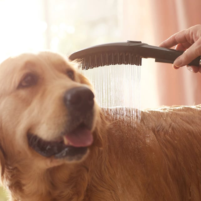 hansgrohe-dogshower-3-spray-dog-hand-shower-150mm-matt-black