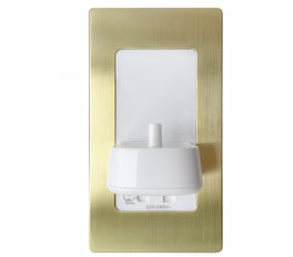 proofvision-single-in-wall-electric-toothbrush-charger-with-shaver-socket-and-brushed-brass-frame