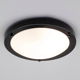 Flush Ceiling Lights