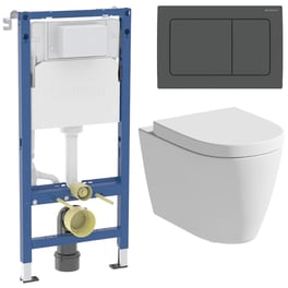 Toilet, Frame & Cistern Packs