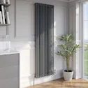 park-lane-traditional-vertical-colosseum-double-bar-column-radiator-anthracite-1800-x-560mm park-lane-traditional-vertical-colosseum-double-bar-column-radiator-anthracite-1800-x-560mm