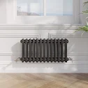 park-lane-traditional-colosseum-double-bar-column-radiator-black-300-x-605mm