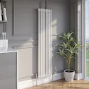 park-lane-traditional-vertical-colosseum-double-bar-column-radiator-white-1600-x-380mm park-lane-traditional-vertical-colosseum-double-bar-column-radiator-white-1600-x-380mm