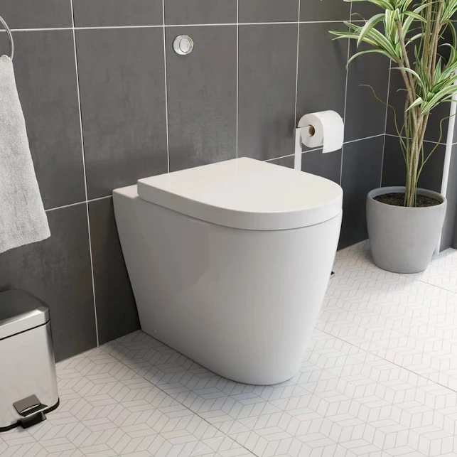 affine-bordeaux-ii-back-to-wall-rimless-toilet-soft-close-seat